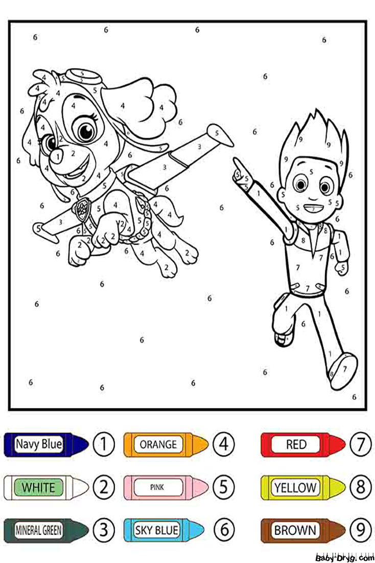 Paw Patrol Skye Flying Color by Number | Color by Number Coloring Pages
