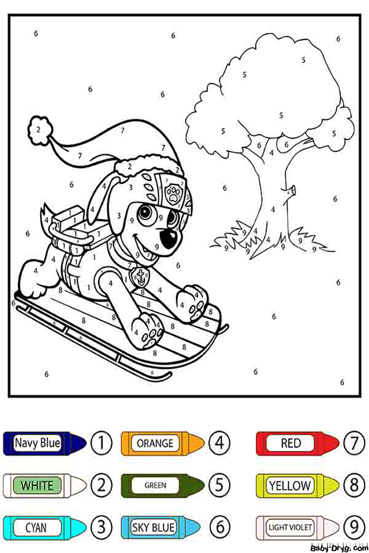 Paw Patrol Zuma Skating Color by Number | Color by Number Coloring Pages