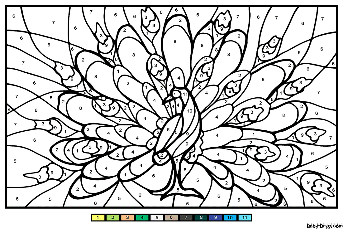 Peacock Color by Number | Color by Number Coloring Pages