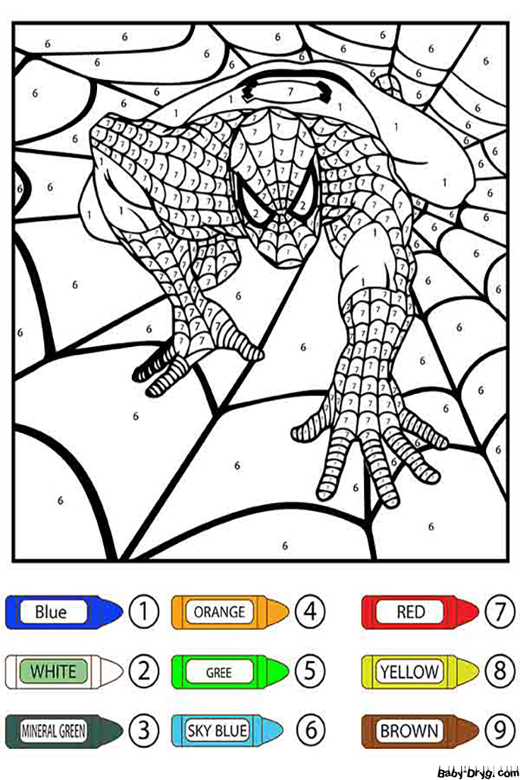Раскраска Человек-паук ползущий по паутине | Раскраски по номерам