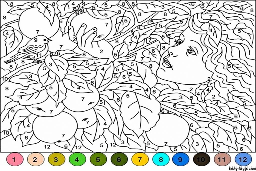 Раскраска Девушка собирает яблоки | Раскраски по номерам