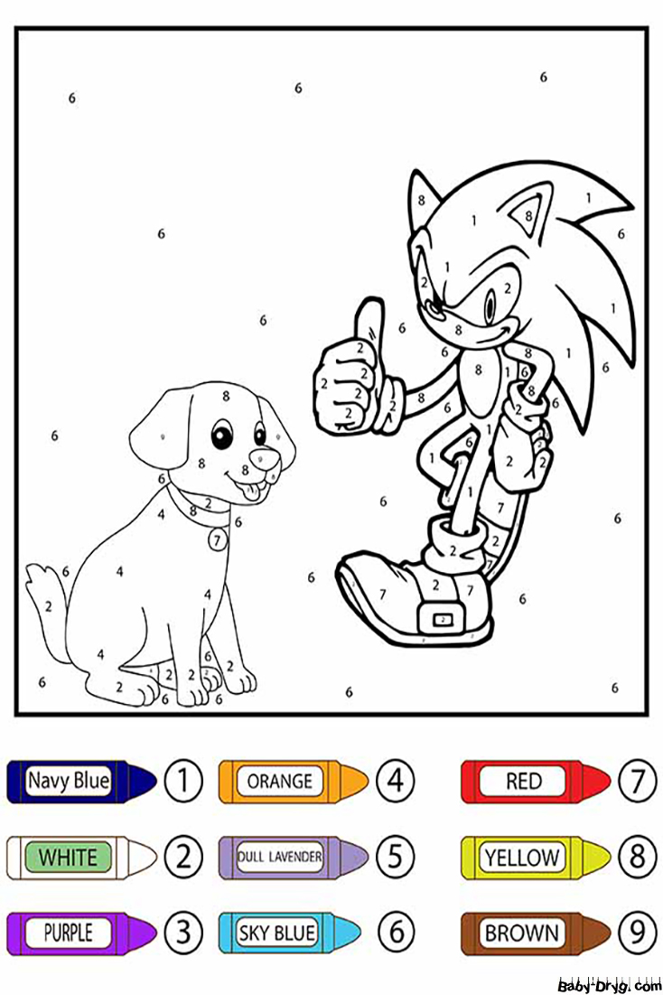 Sonic and Dog Color by Number | Color by Number Coloring Pages
